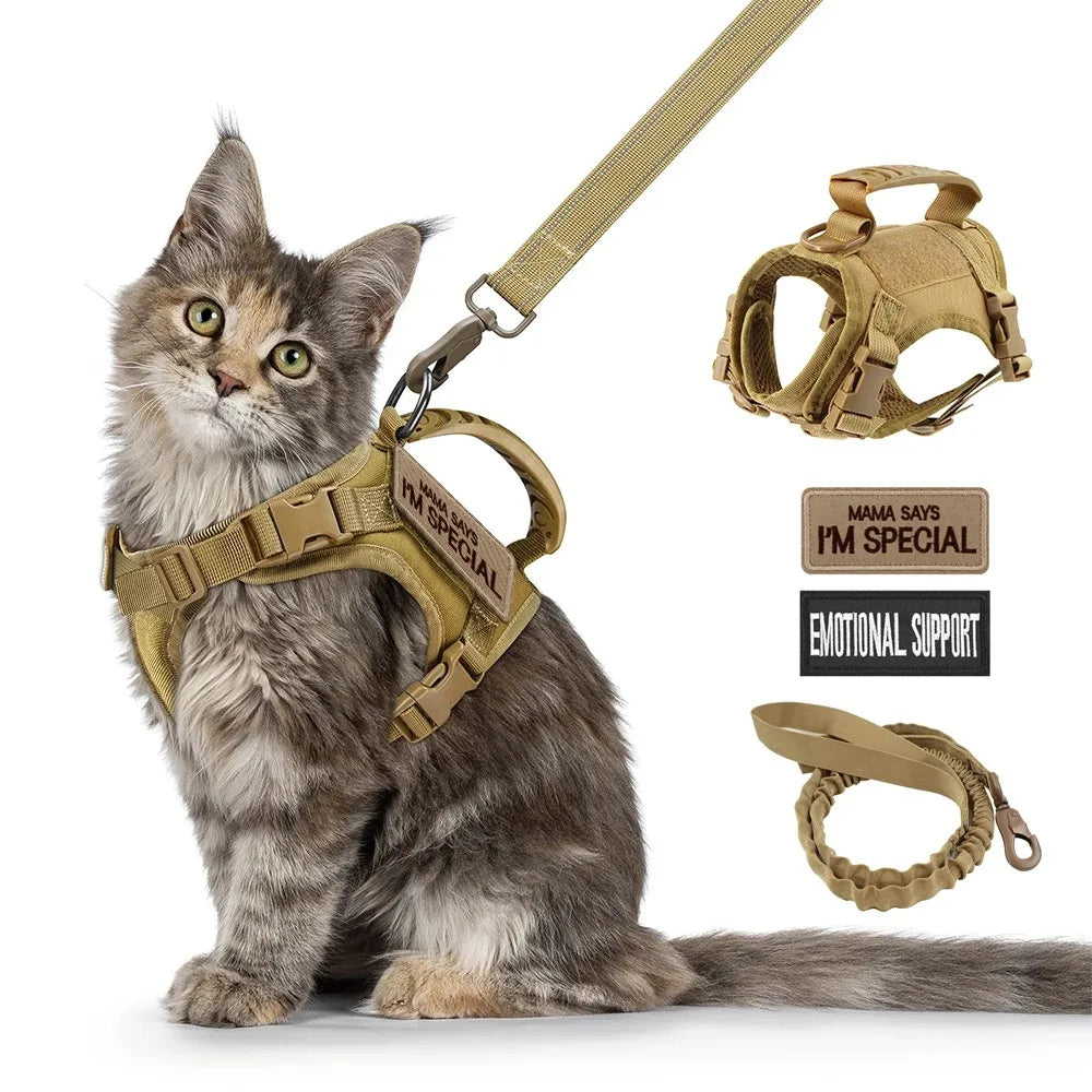 Ensemble harnais et laisse doux pour chat avec collier