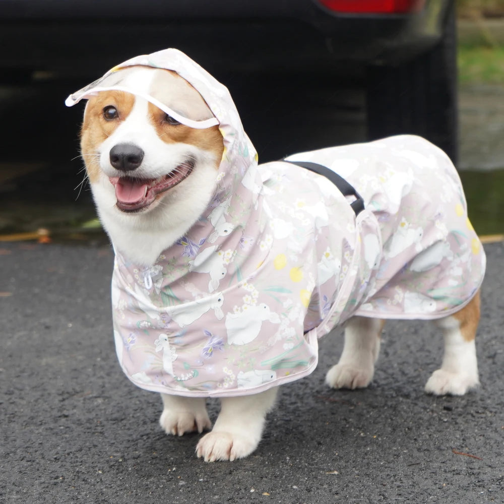 Waterproof Dog Raincoat with Fun Print