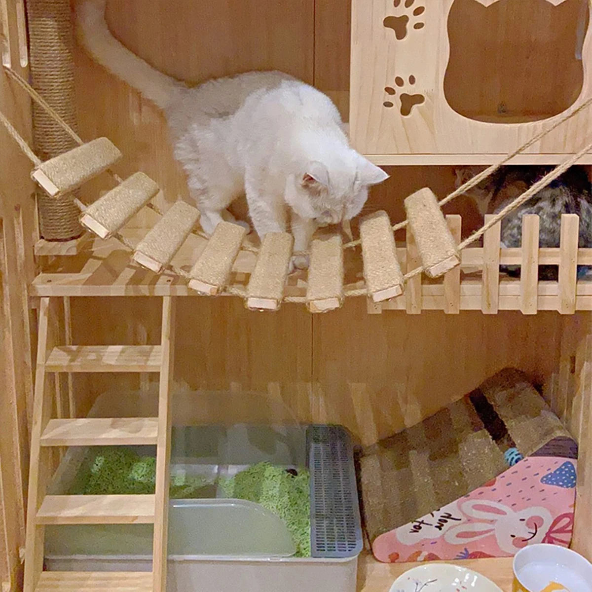Wooden Cat Climbing Ladder & Bridge