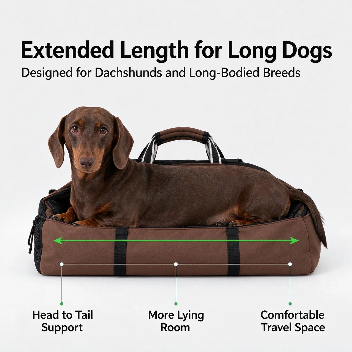 Long-Body Dog Carrier Backpack