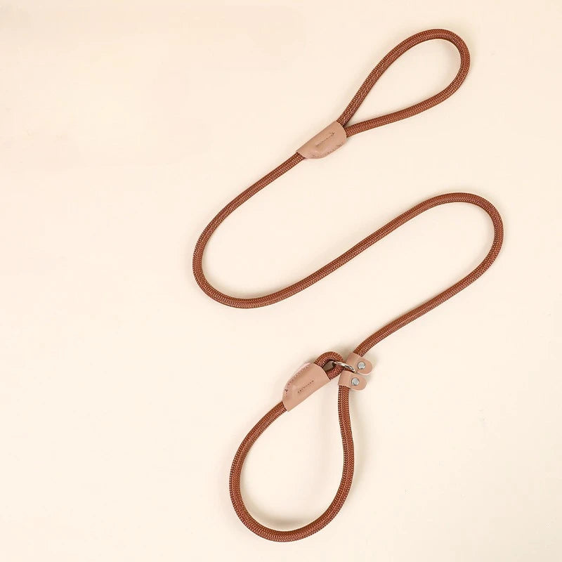 Adjustable Loop Collar Training Leash for Dogs