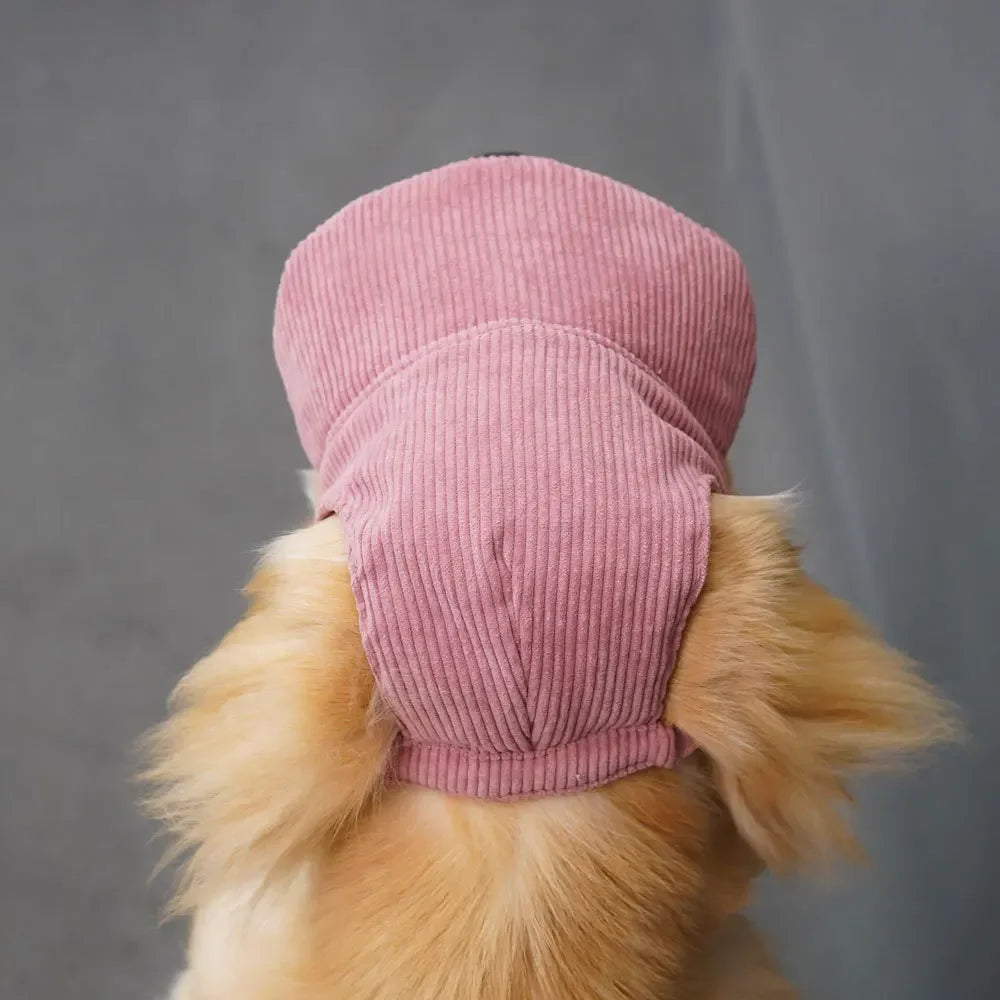 Pet Baseball Cap with Ear Holes | Adjustable Summer Sport Hat for Dogs & Cats