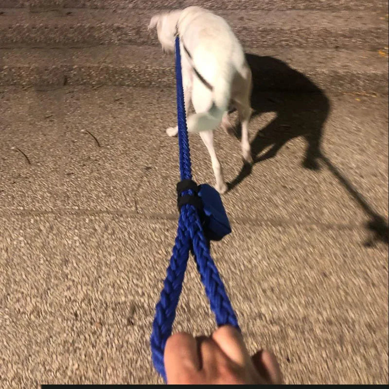 Heavy Duty Nylon Dog Leash & Collar Set - 130cm