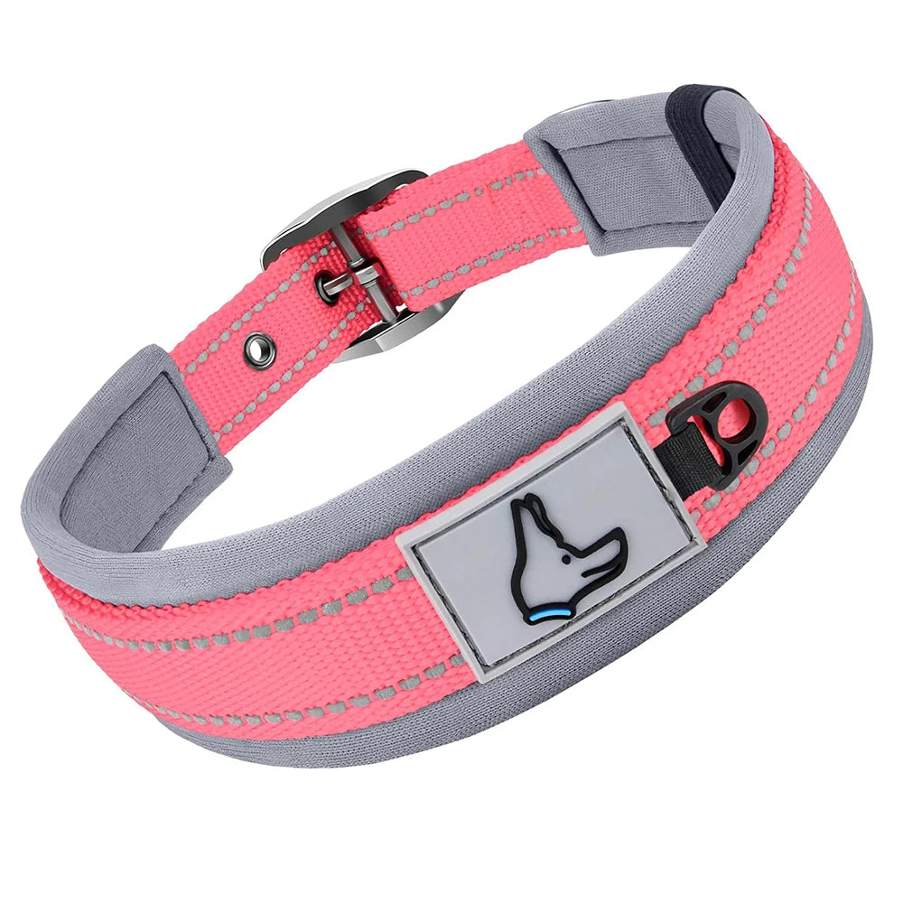 Padded Reflective Nylon Dog Collar – Adjustable for Small, Medium & Large Dogs
