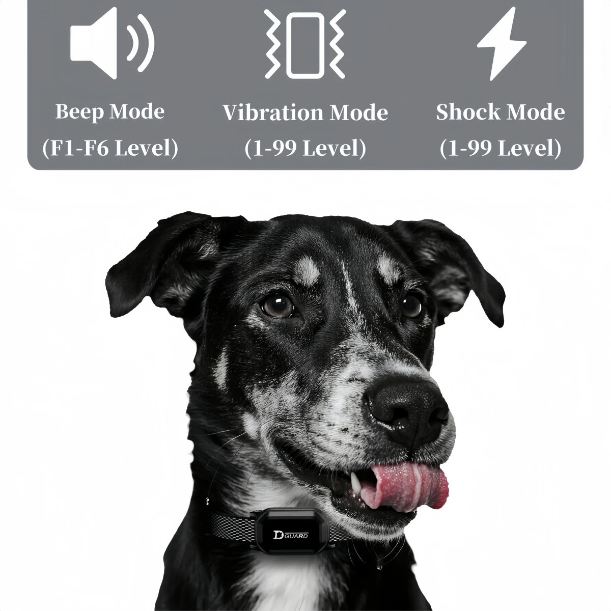 Digital Remote Dog Training Collar — 800m Range, LCD Display & Waterproof