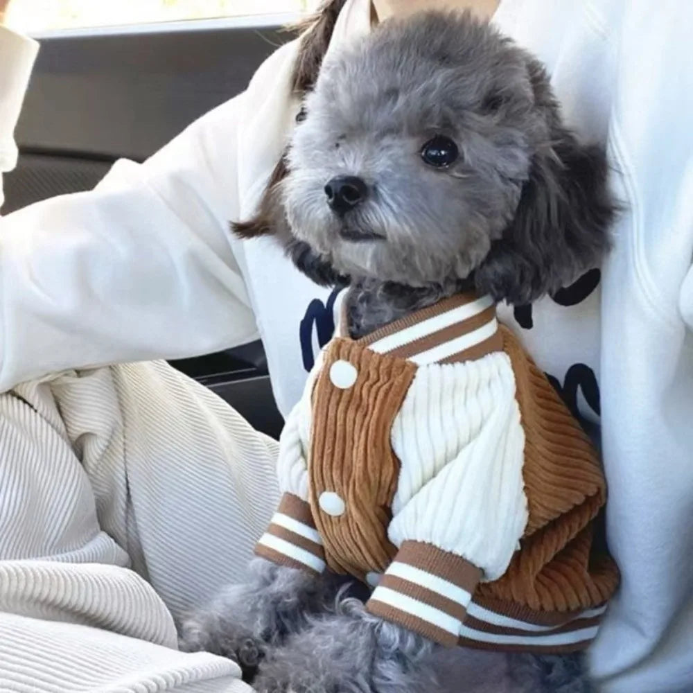Embroidered Dog Baseball Jacket – Warm Cotton Pet Coat