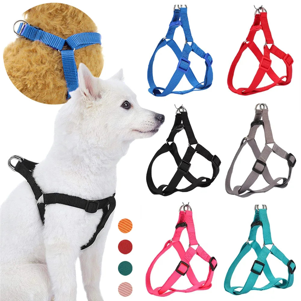 Adjustable Dog Chest Harness – Vest Style Walk Harness
