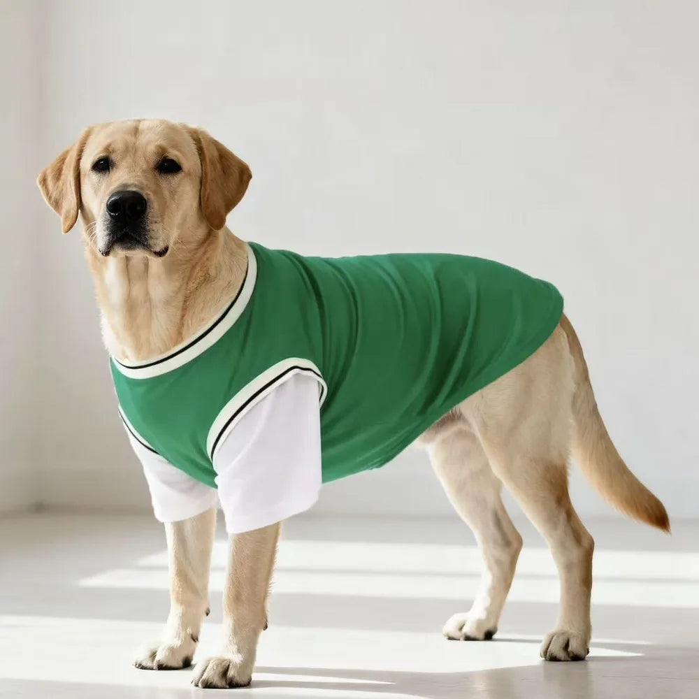 Gilet rafraîchissant en polyester respirant pour chiens | Haut d'été doux pour chiens de taille moyenne et grande