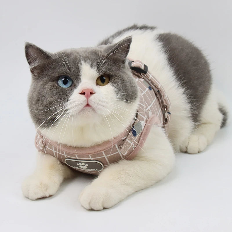 Adjustable Mesh & Plaid Cat Harness and Leash Set