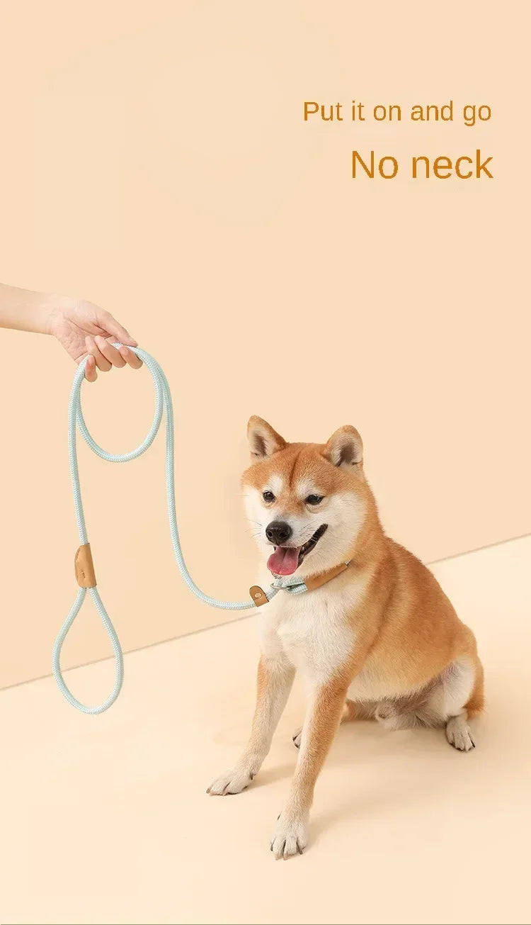 Ensemble laisse et harnais réglables en nylon pour chien
