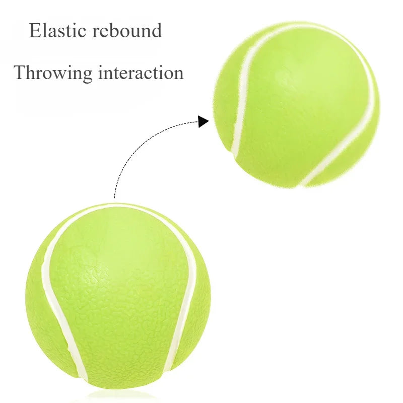 Interactive Squeaky Ball Dog Toy - Teeth Cleaning