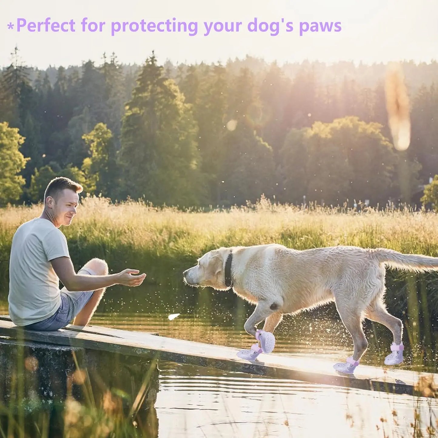 Bottes imperméables pour chien avec semelle antidérapante