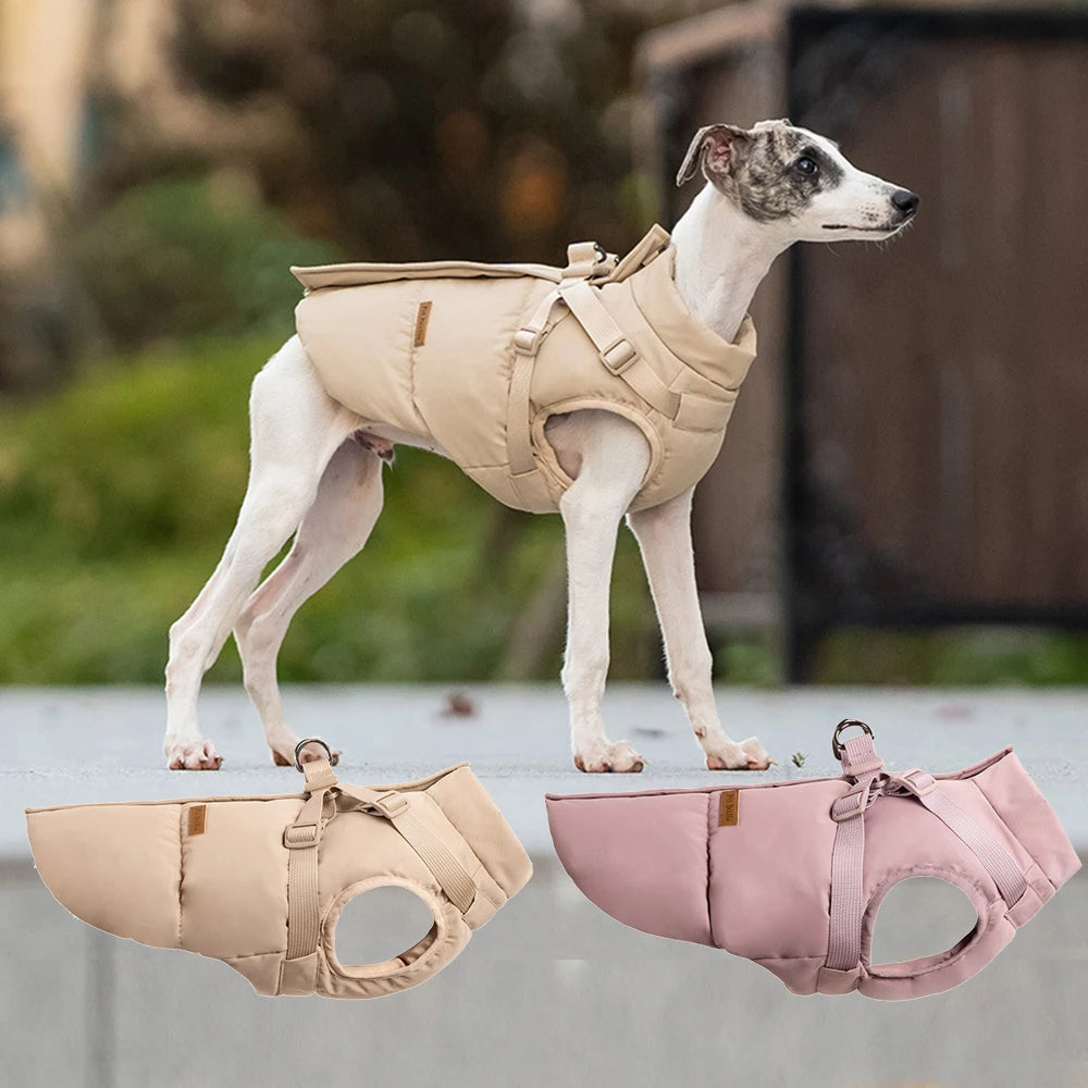 Autumn Winter Pet Clothes Outdoor Dog Jacket with Harness for Small Medium Dogs Thick Warm Pet Cotton-Padded Clothing