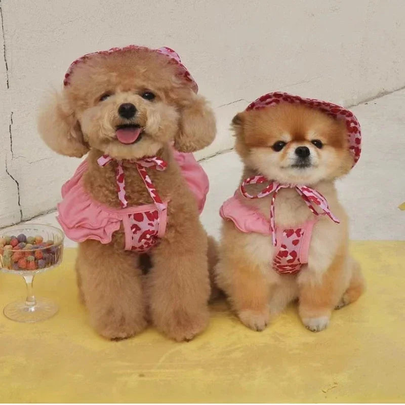 Dog Bikini & Swim Cap Set