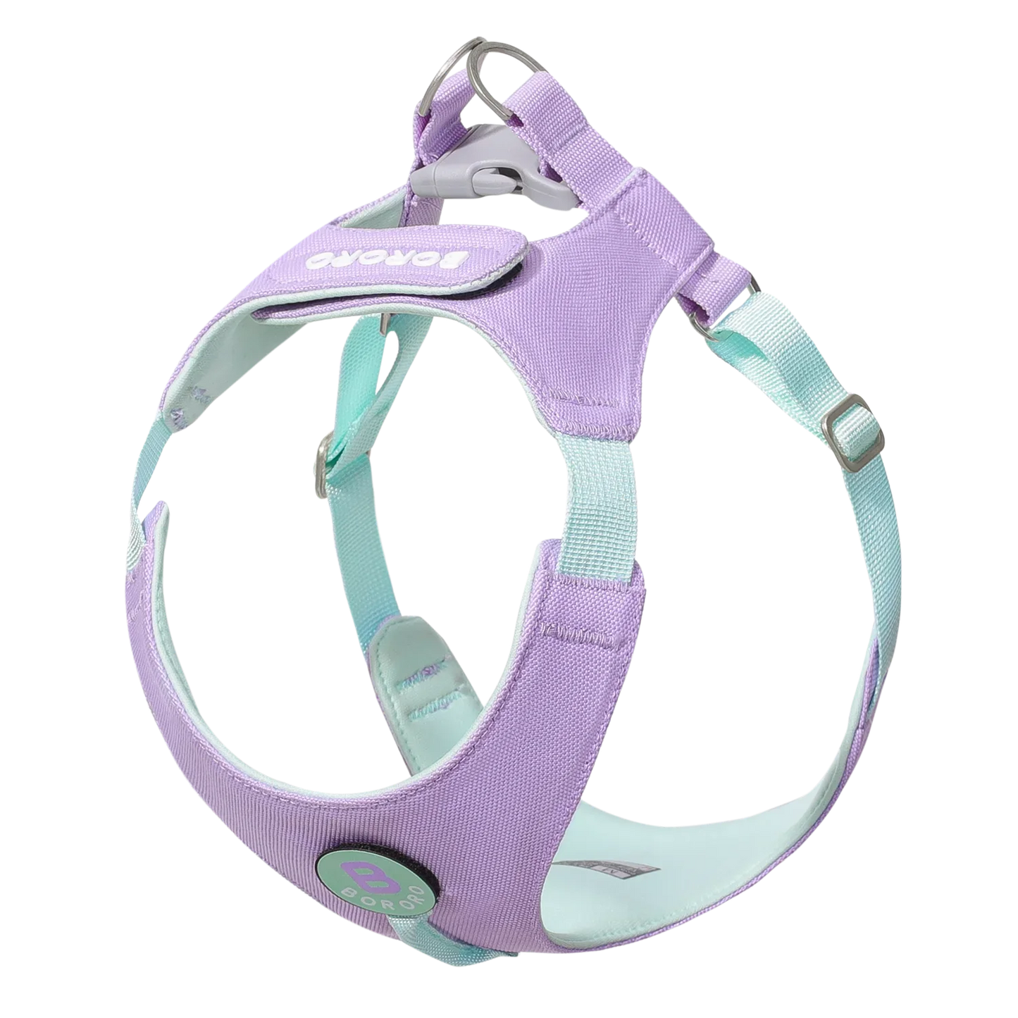 Ensemble Collier et Laisse pour Chien - Harnais de Poitrine pour Petits Chiens