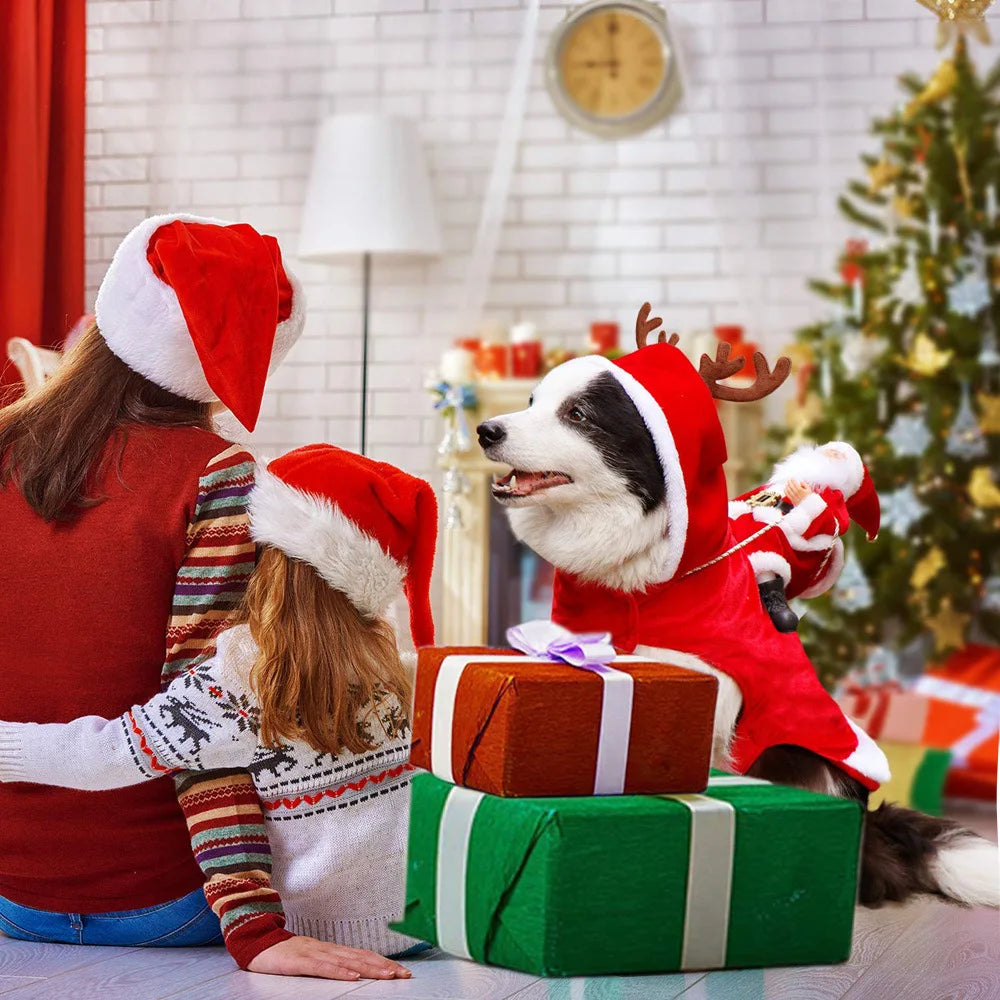 Christmas Santa Cloak Pet Costume