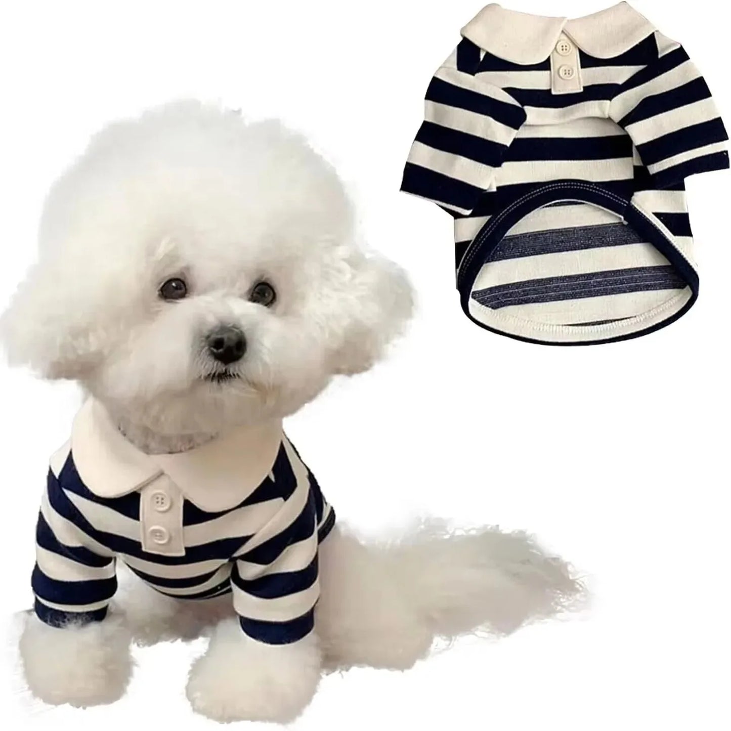 Chemise de luxe premium pour chien
