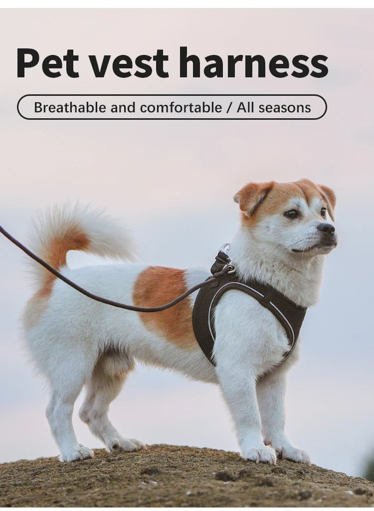 Reflective Dog & Cat Harness with Leash Set
