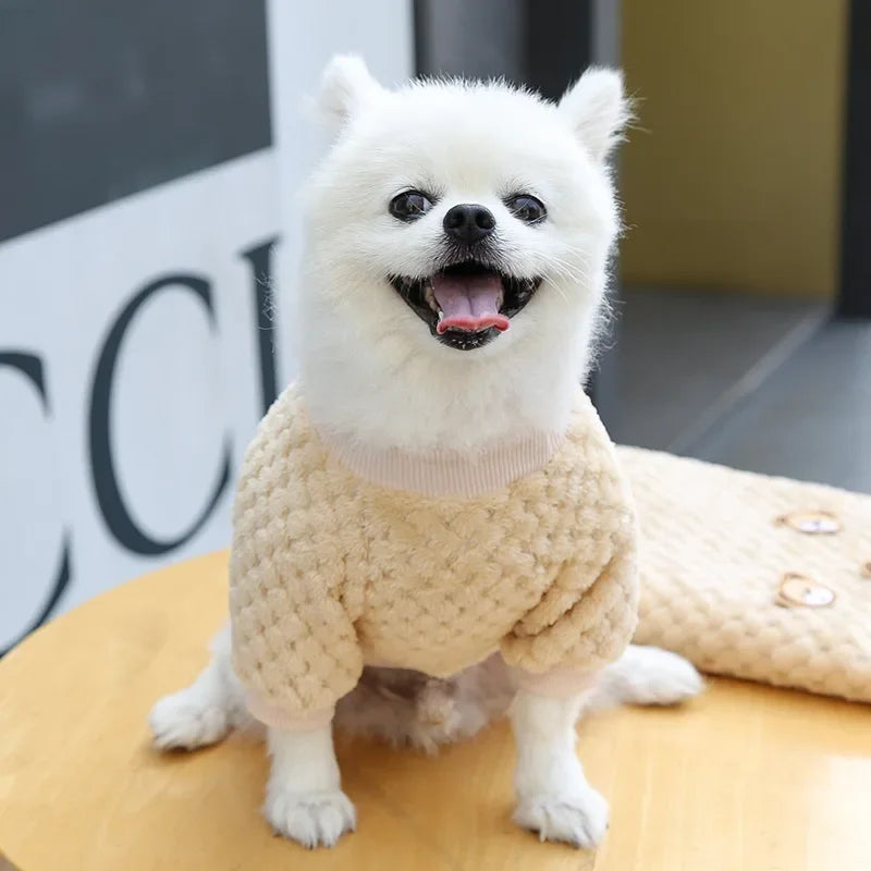Manteau pull chaud pour chiot | Pull d'automne-hiver pour chiens et chats de petite taille
