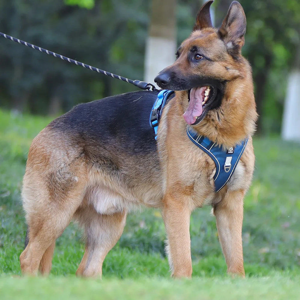 3M Reflective Padded Dog Harness Vest