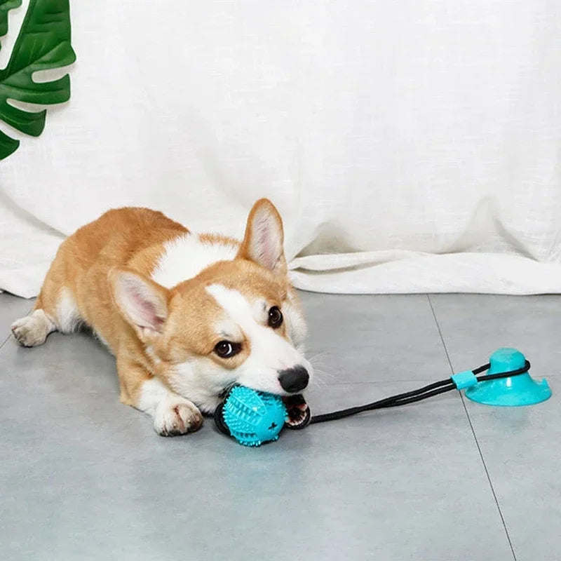 Suction Cup Tug Toy with Ball