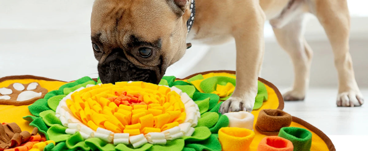 Fleece Dog Snuffle Mat