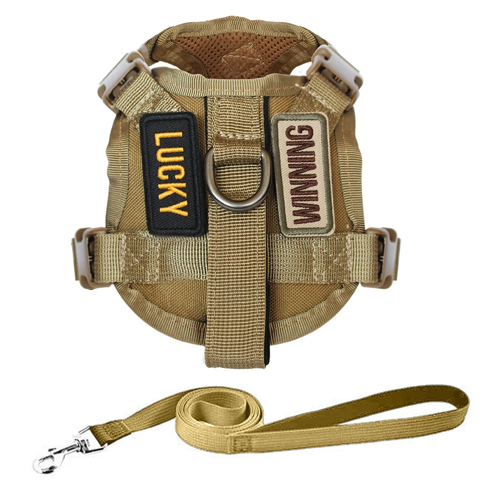Escape-Proof Cat & Small Dog Harness Set