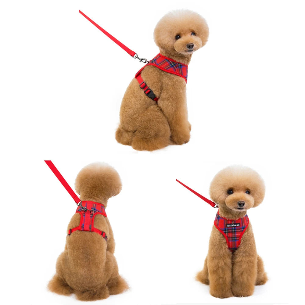 Adjustable Plaid Dog Harness & Leash Set