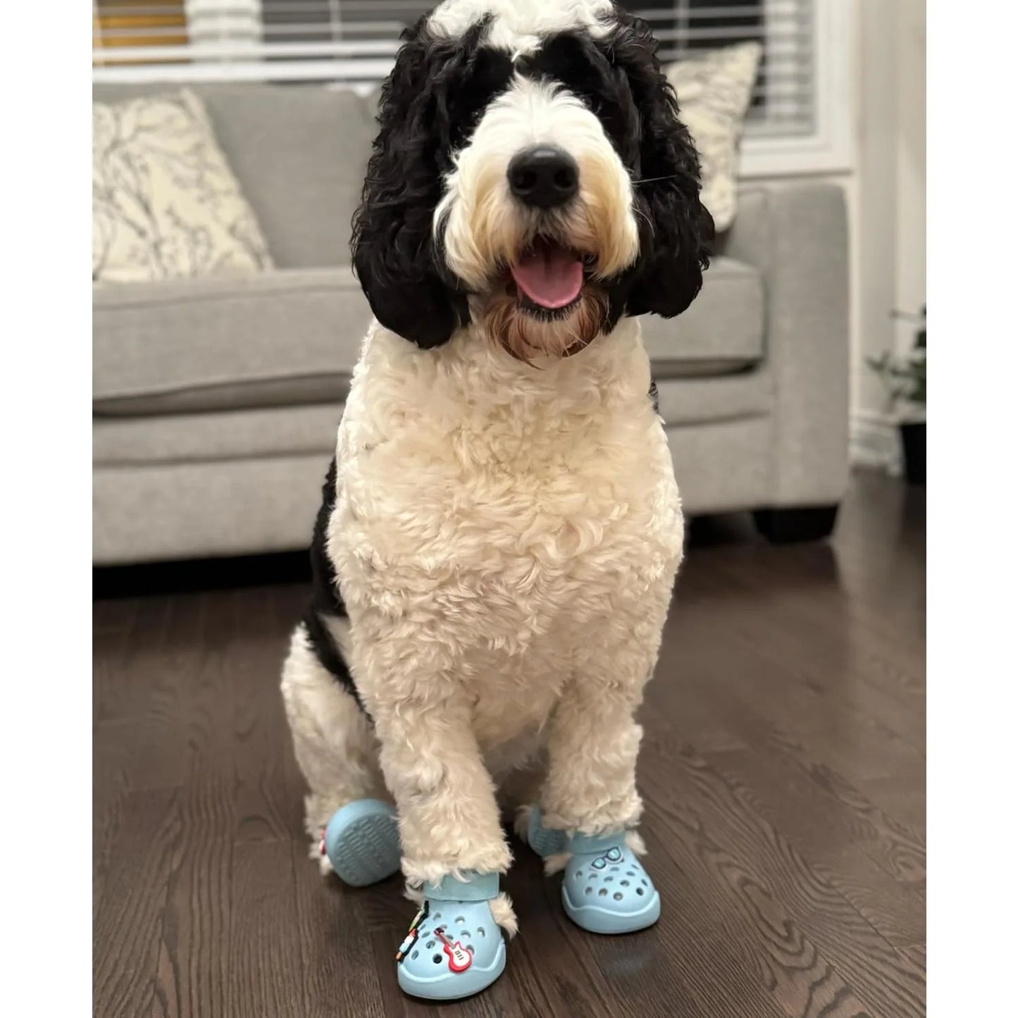 Bottes imperméables pour chien avec semelle antidérapante