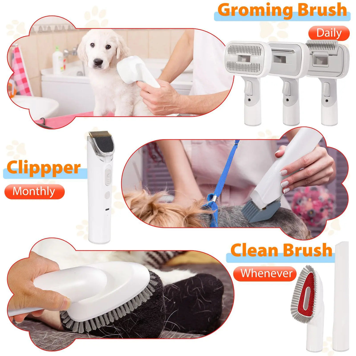 4-in-1 Pet Grooming Vacuum | 10,000Pa Suction | 2.3L | 3 Speeds | Dogs & Cats