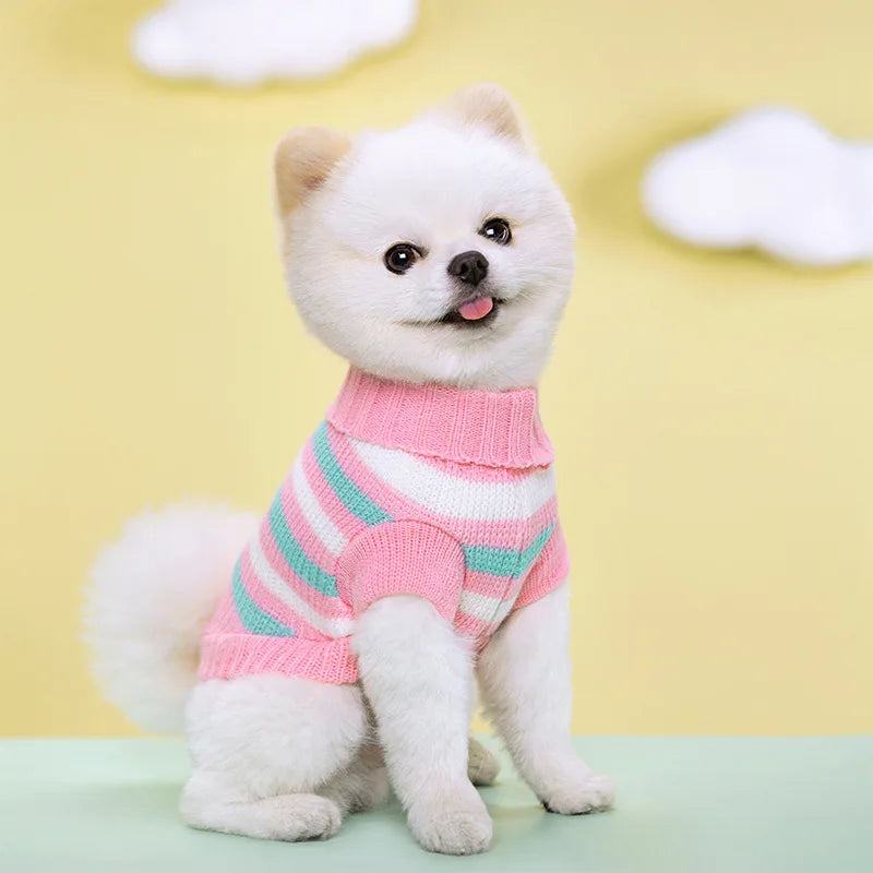 Colorful Knit Sweater for Small & Medium Dogs & Cats