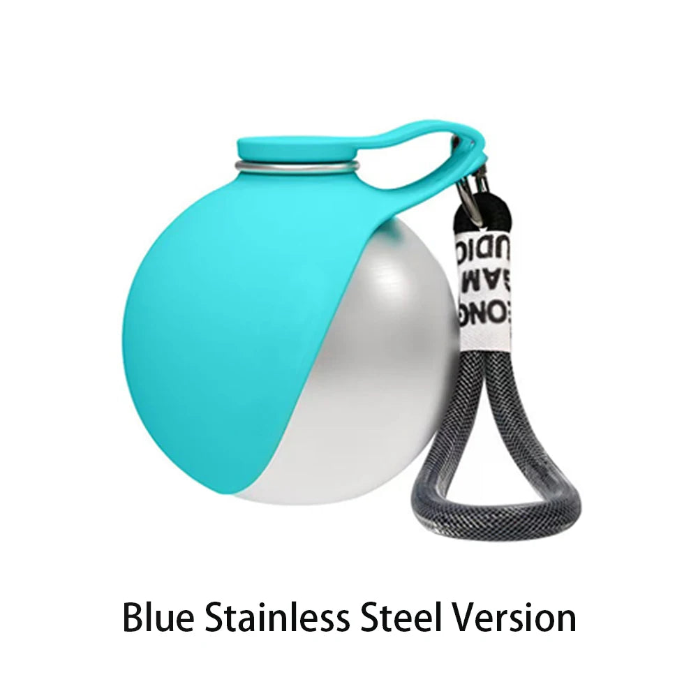 2-in-1 Stainless Steel Dog Water Bottle with Foldable Bowl
