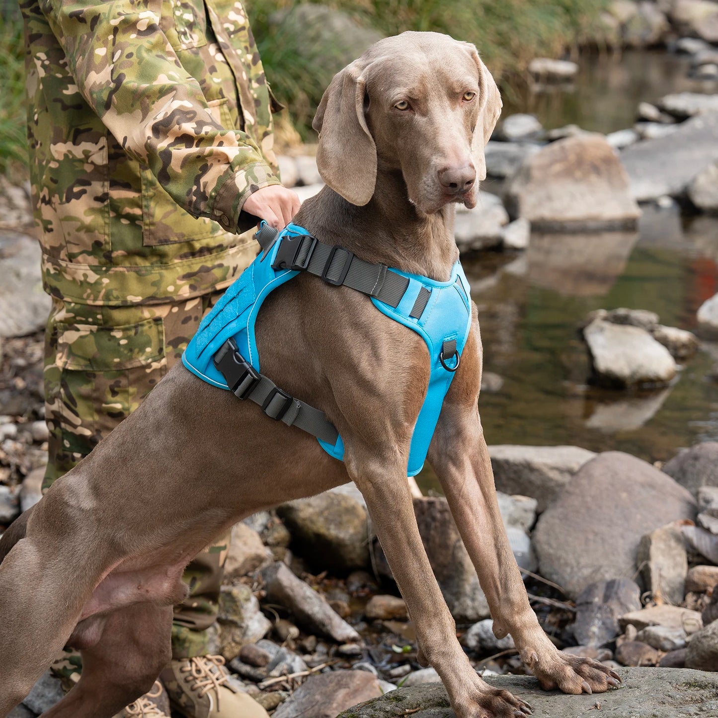 Tactical No-Pull Dog Harness — Reflective Adjustable Working & Training Vest for Small, Medium & Large Dogs