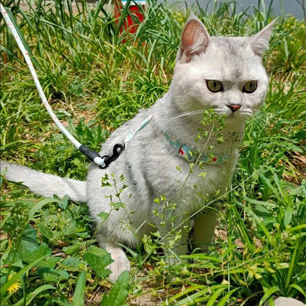 Floral Print Harness & Leash Set for Cats & Small Dogs