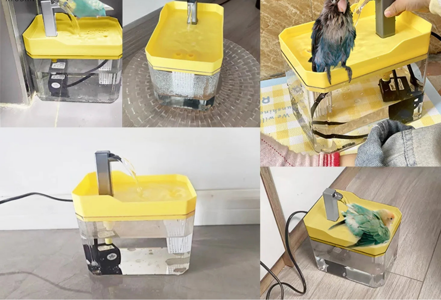 Baignoire automatique pour oiseaux avec pompe - Fontaine de douche intérieure pour perruches et perroquets
