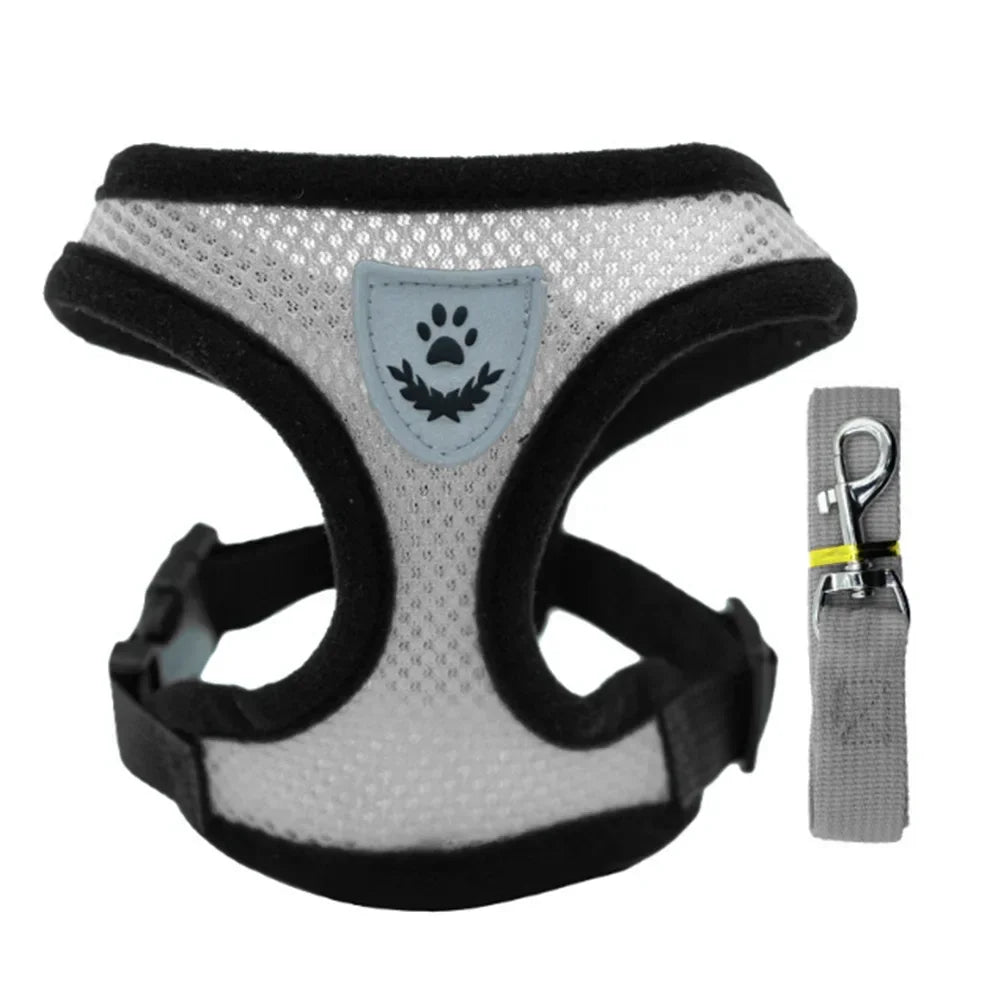 Harnais anti-évasion pour chat et chien avec laisse - Gilet en maille réglable pour la promenade