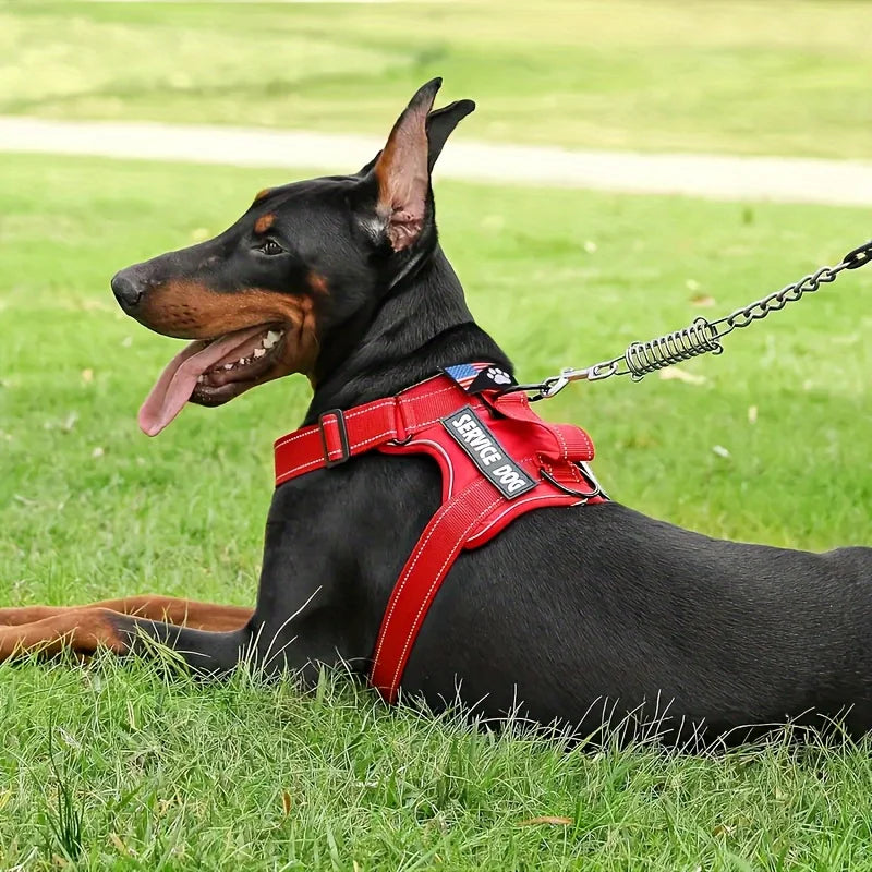 Ensemble harnais et laisse réfléchissants pour chien avec gamelle pliable