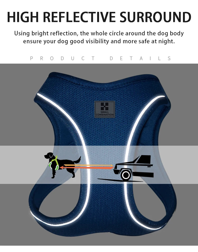 Reflective Dog & Cat Harness with Leash Set