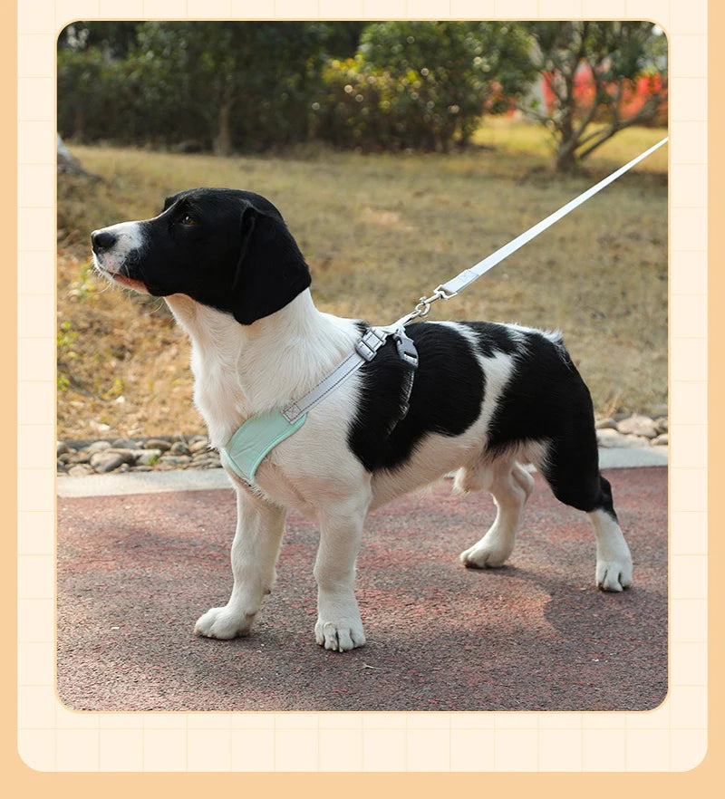 X-Shape Escape-Proof Dog Harness Vest with Leash