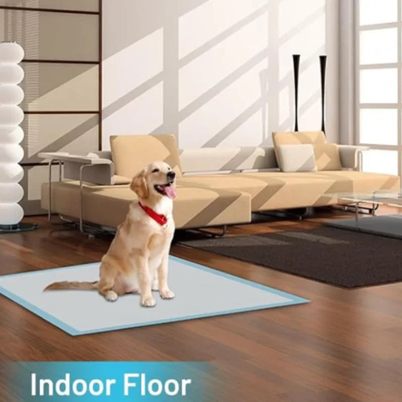 Super Absorbent Disposable Puppy Training Pads — Quick-Dry Surface for Fast, Clean Results