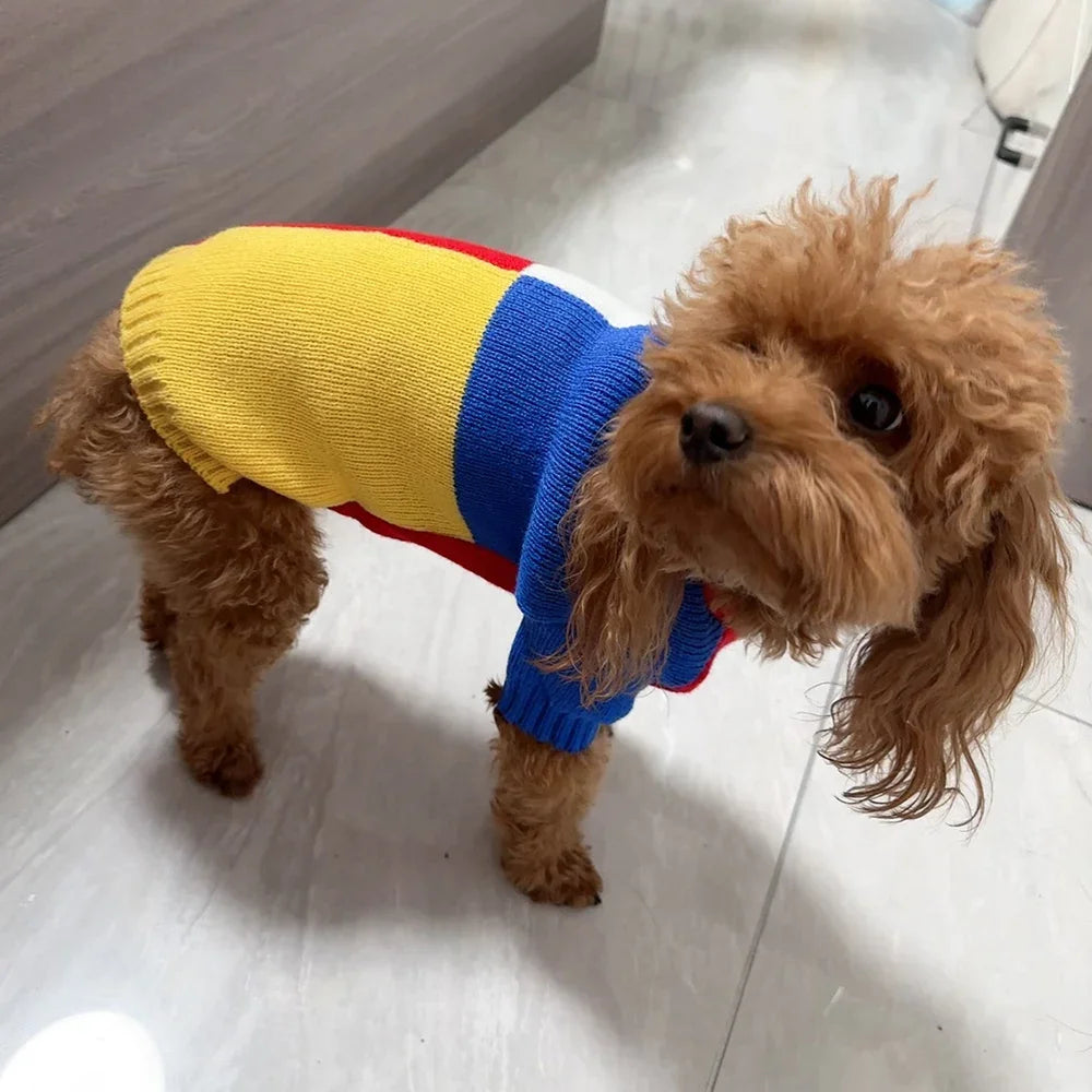 Colour-Block Knitted Sweater for Small Dogs & Cats