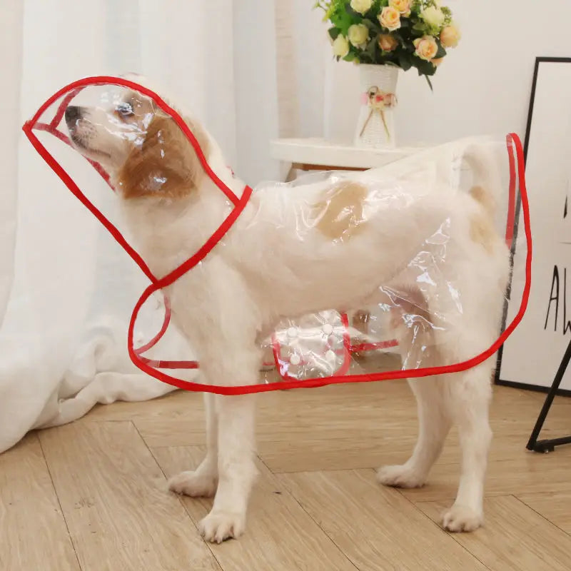 Transparent Waterproof Raincoat for Small & Medium Dogs