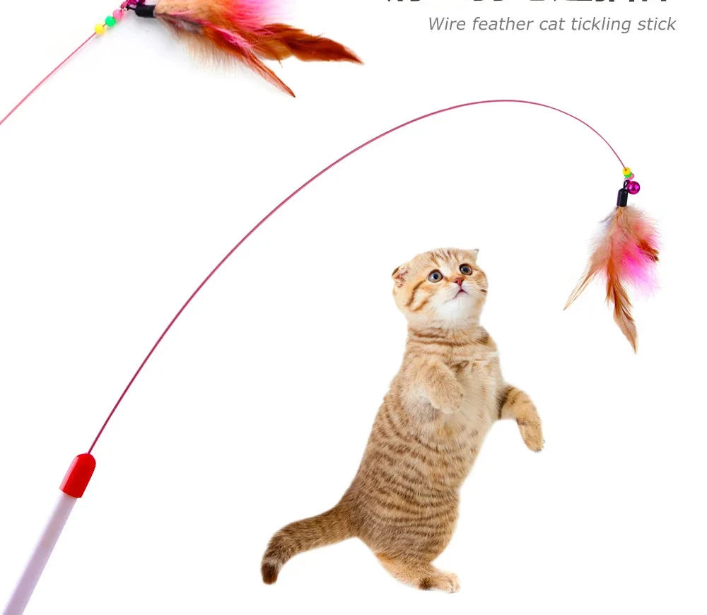 Jouet interactif pour chat en baguette de plumes - Agitateur filaire