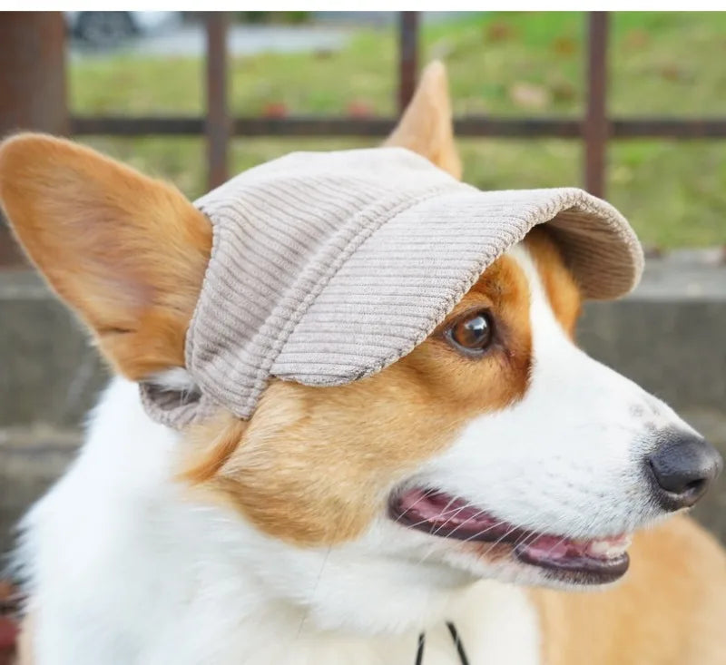 Pet Baseball Cap with Ear Holes | Adjustable Summer Sport Hat for Dogs & Cats