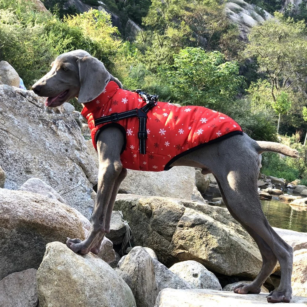 Reflective Fleece Dog Jacket with Integrated Harness