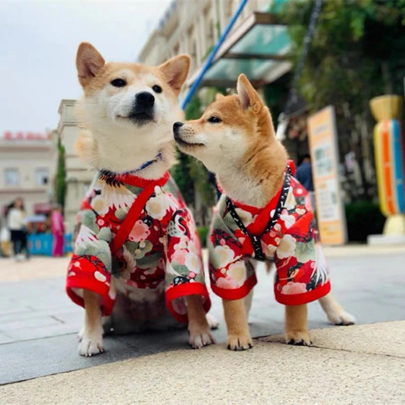Japanese Kimono Costume for Cats & Dogs