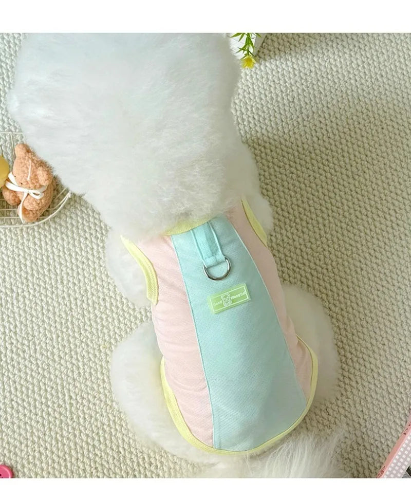 Gilet rafraîchissant réfléchissant et t-shirt d'été pour chiens et chats de petite, moyenne et grande taille