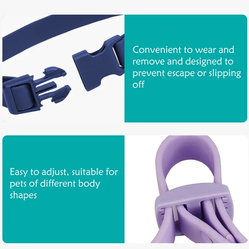 Collier et Harnais en Silicone pour Chat - Accessoires Souples pour Chaton et Petits Animaux