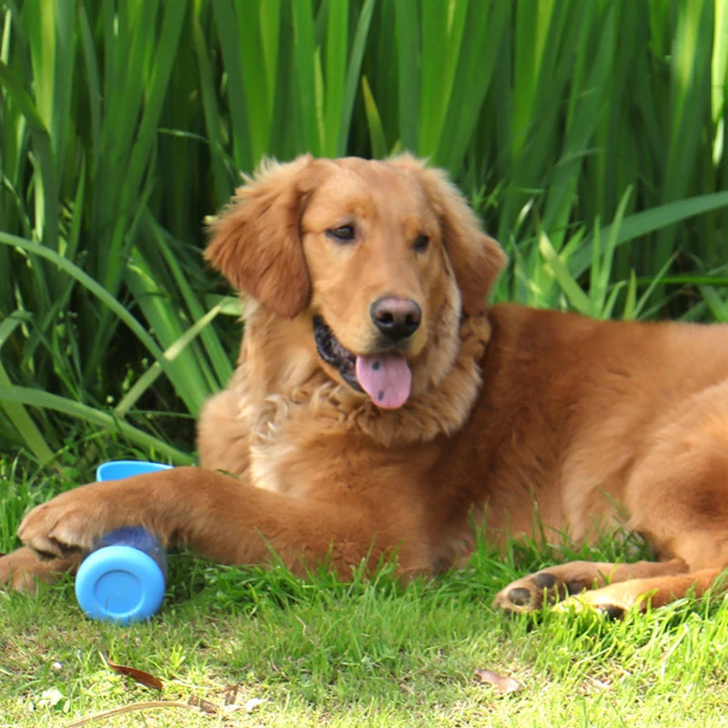 Portable Dog Water Bottle (330ml/510ml)