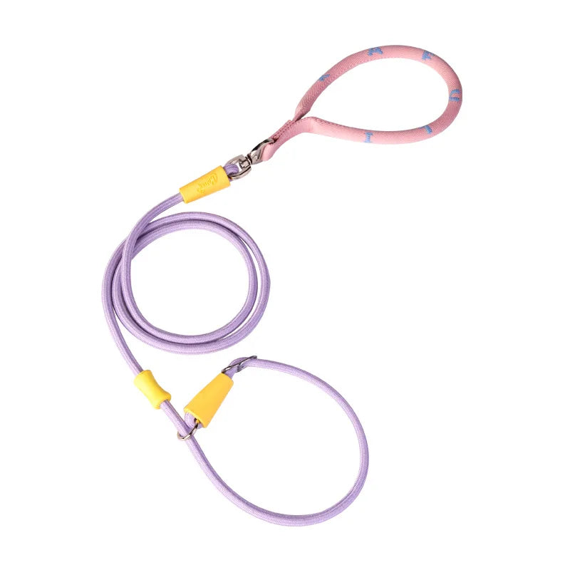 Laisse et collier combinés en nylon pour petits chiens